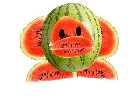 watermelon dee