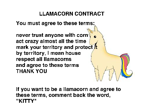 llamacorn contract (PLEASE READ!!!!)