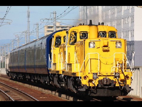 THE ROYAL EXPRESS