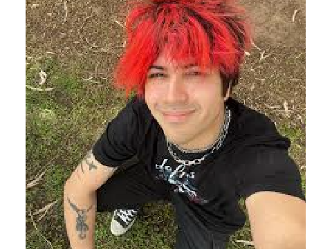 Cam