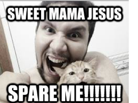 Meme Collection: Volume 1: Cats. remix