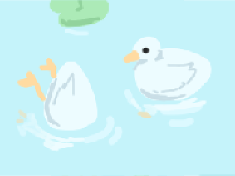 ～ DUCKS!