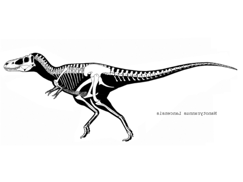 NANOTYRANNUS: kaihippo & DAGON2014 collab remix