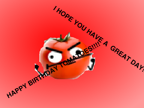 HAPPY BIRTHDAY TOMATOE!!!