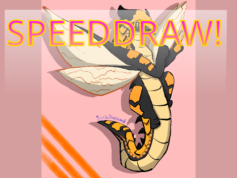 Bumblebee - SPEEDDRAW