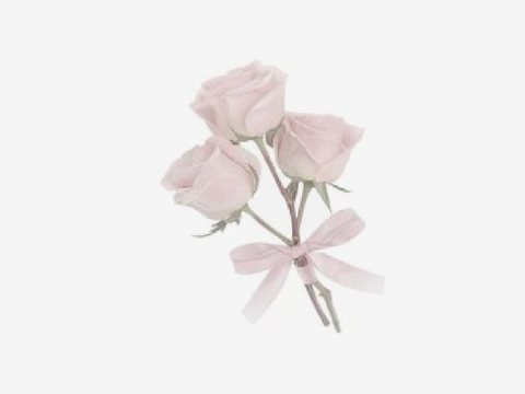 ㅤㅤㅤ۪ㅤꔫ guess what I foundddd