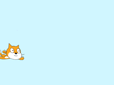 Cat flying