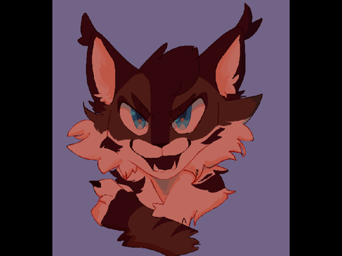 Hawkfrost my beloved