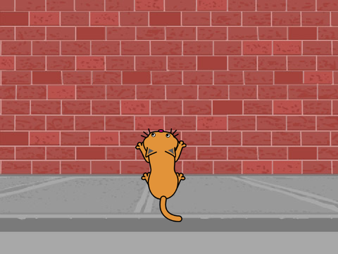 Cat climbing up the wall