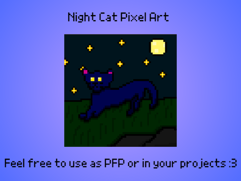 Night Cat Pixel Art PFP