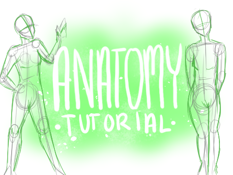 How to Draw: Human Anatomy