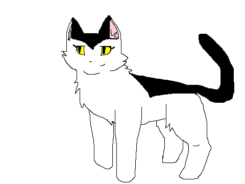 Mouse paw