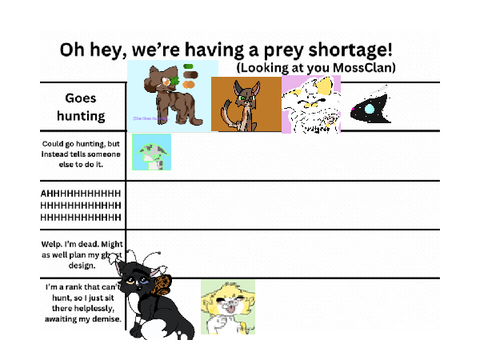 more memes