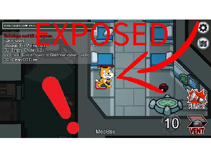 SCRATCH CAT EXPOSED