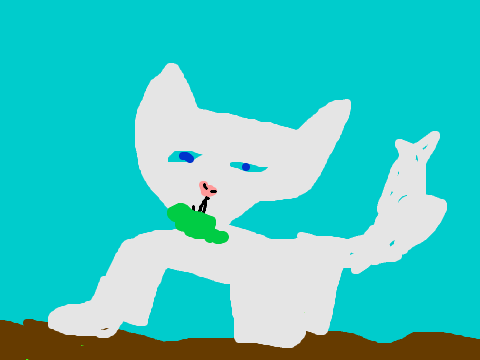 Arrowheart medicine cat