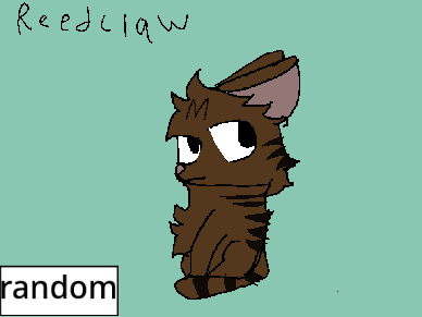 Drawing every warrior cat! (HUGE WIP)