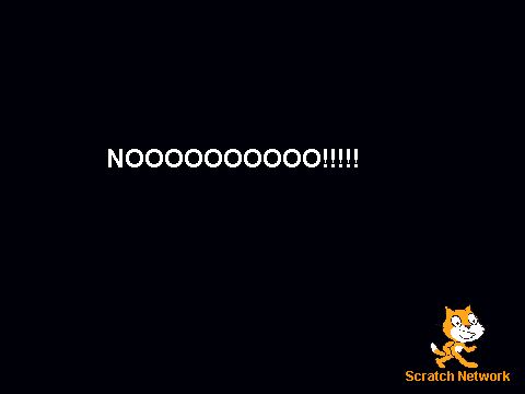 Other cat has a seizure
