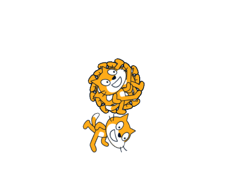 the spining cat