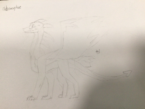 traditional art dump
