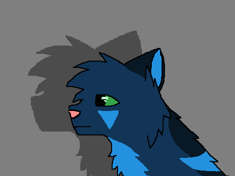 Animation Test