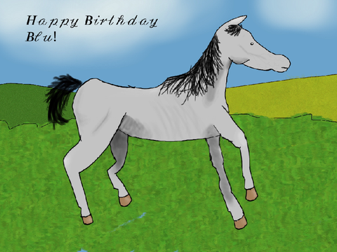 Happy birthday Blu!