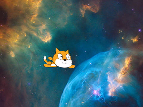 le chat de l espace