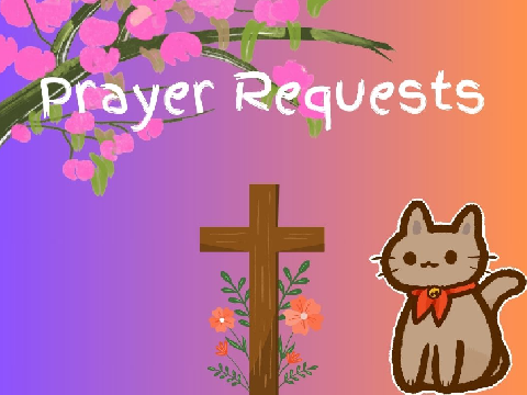Give me your prayer requests!