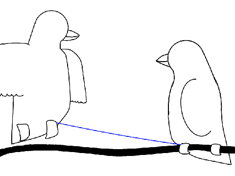 Two birds MAP Part 12