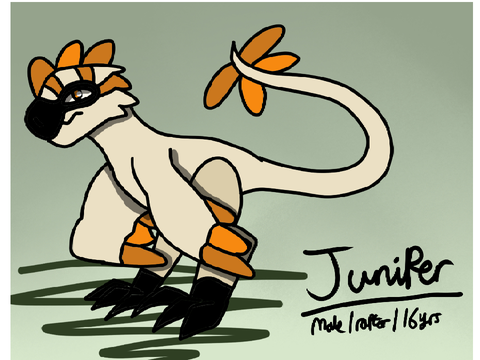 Juniper oc ref sheet ! 