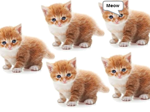 Meow