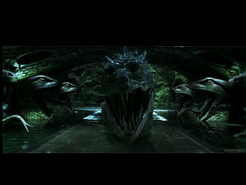 Harry potter and the chamber of secrets 
