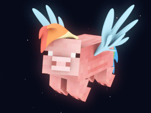Rainbow-Oink?