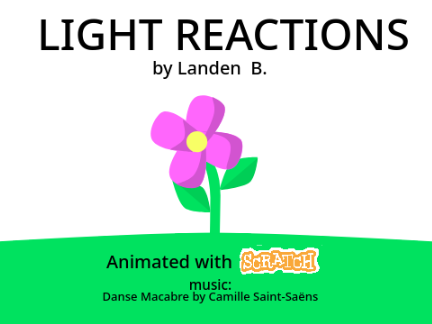 Light Reactions in Photosynthesis Egg--boi Animation