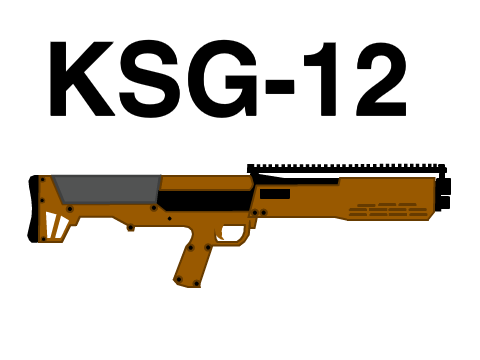 KSG-12