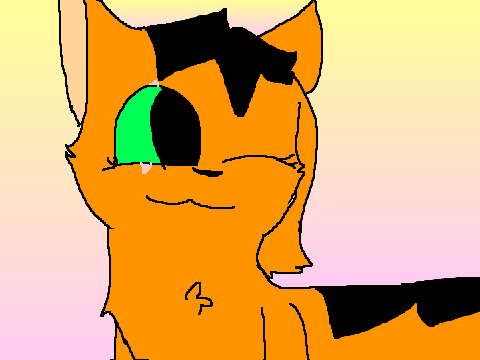 30 followers entry!