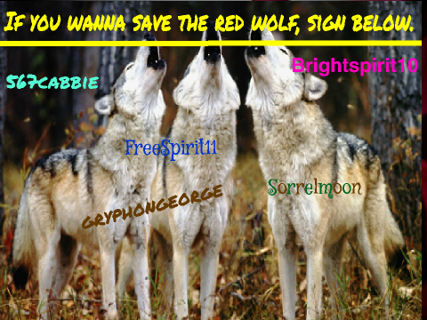 Save The Red Wolves!!!! remix remix-3 remix remix