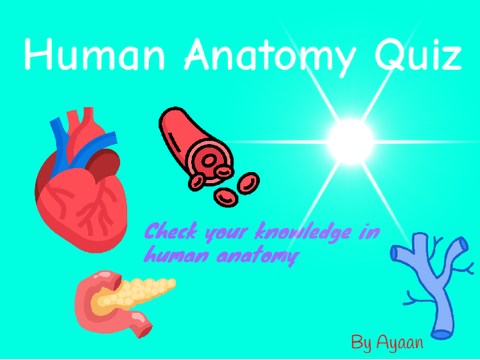 Human Anatomy Quiz Game