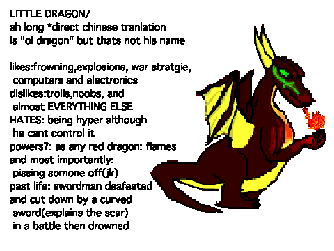 bio of little dragon