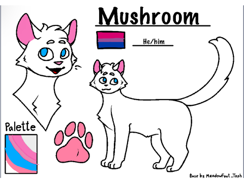 Cats :)