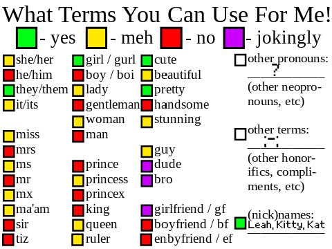 I'M A GIRL OK???