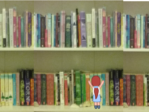 I can't QUITE reach that top shelf...