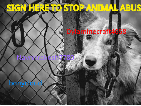 SIGN HERE TO STOP ANIMAL ABUSE!  remix remix