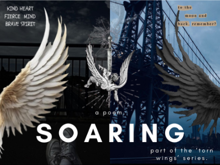 ❝ soaring. ❞ | part of the ' torn wings ' series | a poem.