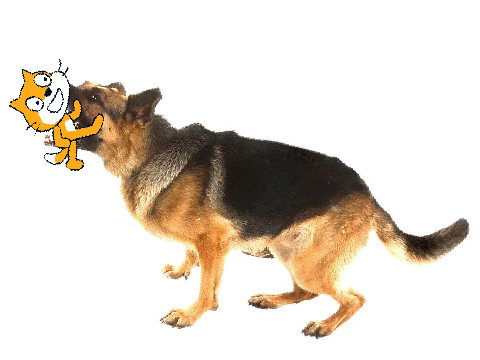 scratch cat vs scratch dog - trailer