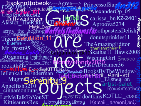GIRLS ARE NOT OBJECTS! remix