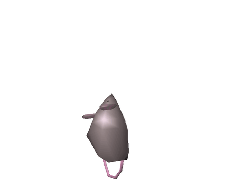 rat.