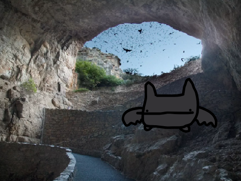 Bat