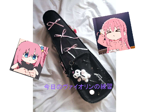 バイオリンを弾きました