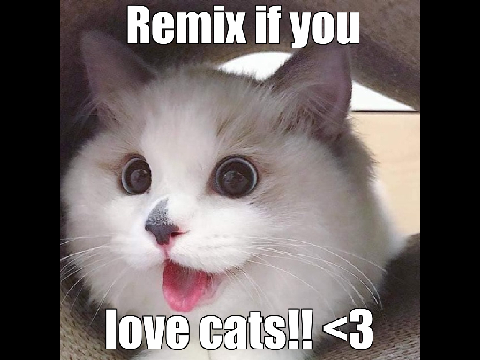 Remix if you love cats!! <3 remix