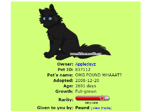 the faves of my cs pets